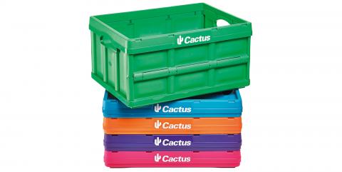Cactus-box-pliable