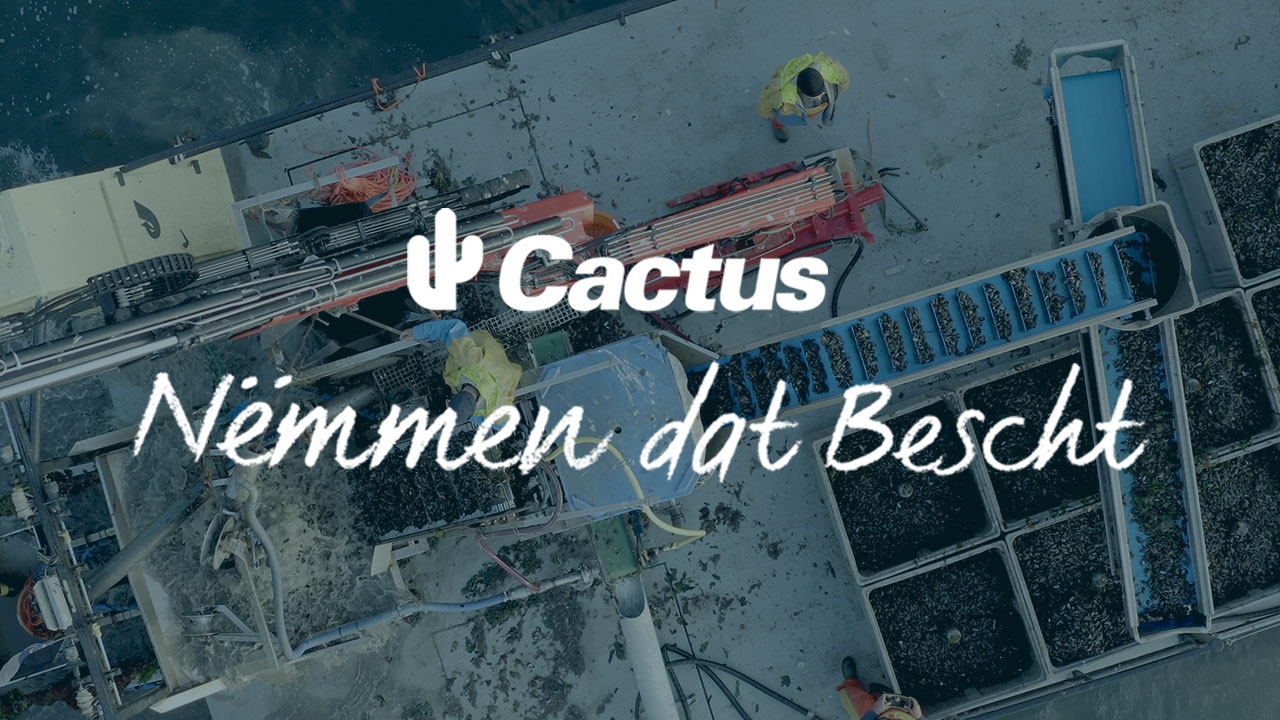 Cactus – Nëmmen dat Bescht!: Episod 1 - Mullen