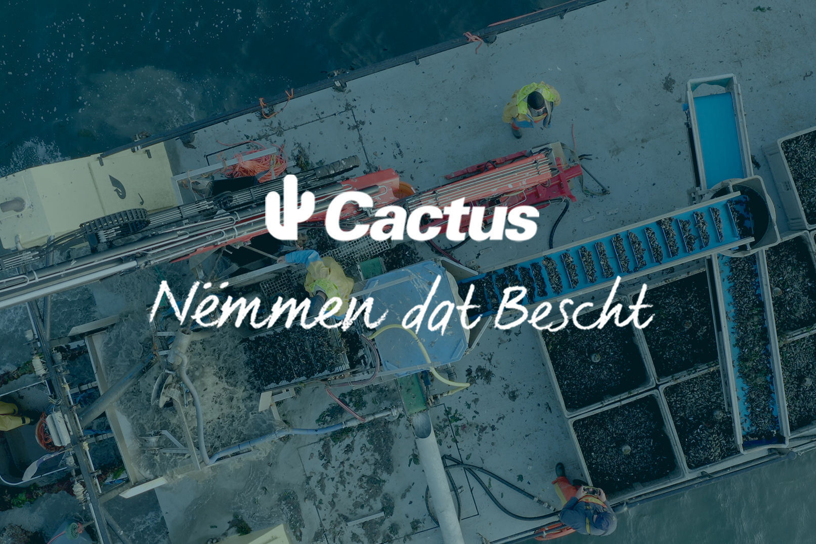 Cactus – Nëmmen dat Bescht!: Episod 1 - Mullen