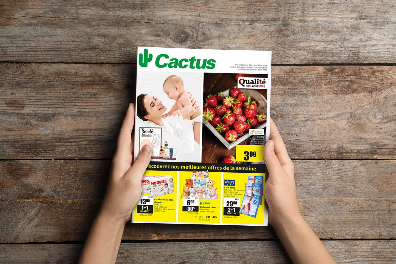 Catalogues et promotions Cactus