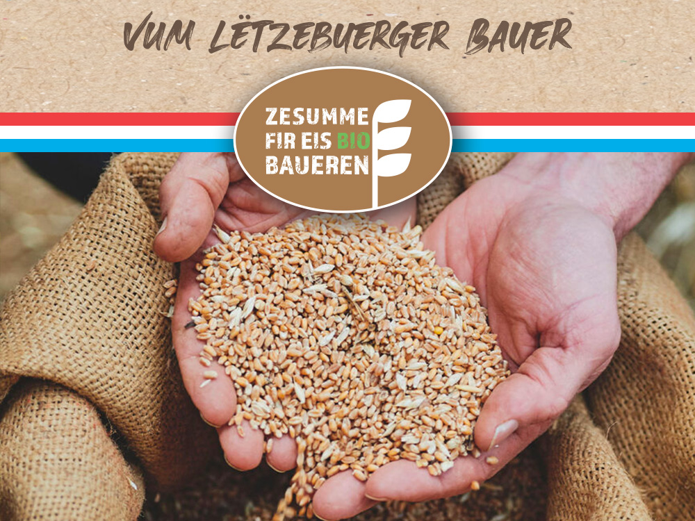 Zesumme fir eis Bio Baueren Zesumme fir eis Bio Baueren : des céréales bio locales au pain artisanal