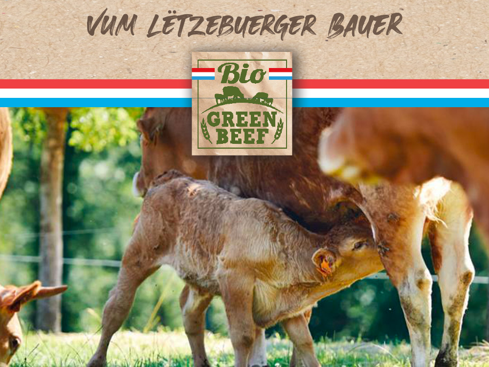 Bio Green Beef Bio Green Beef : une viande bio de jeune bovin élevée naturellement