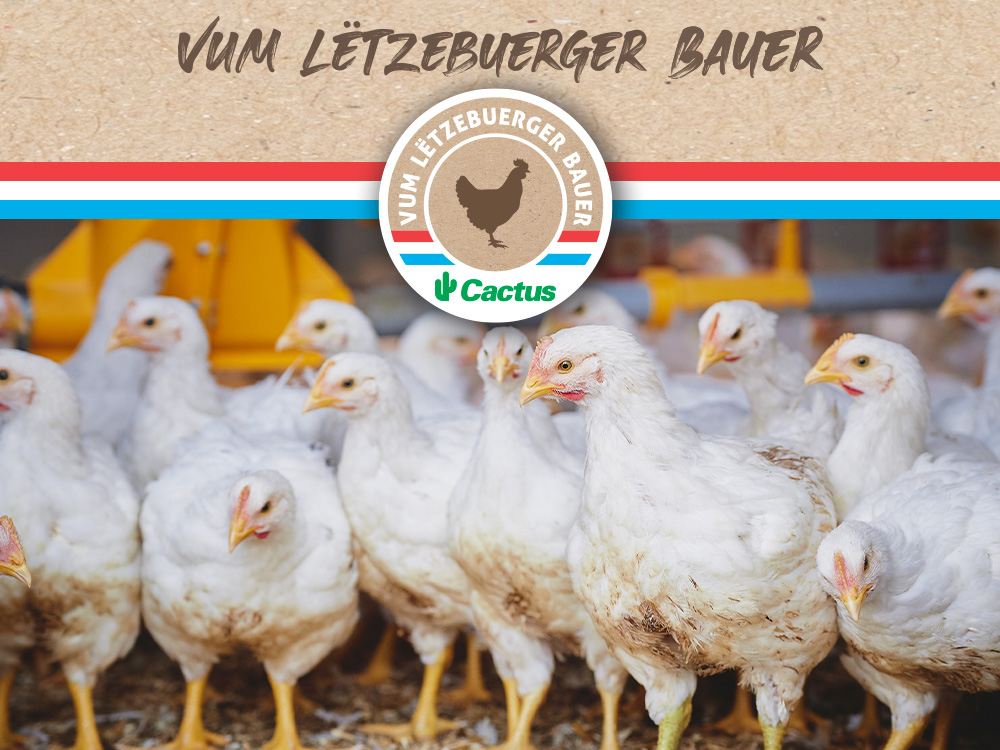 Cactus Poulet Vum Lëtzebuerger Bauer Cactus Poulet Vum Lëtzebuerger Bauer : le goût local dans votre assiette