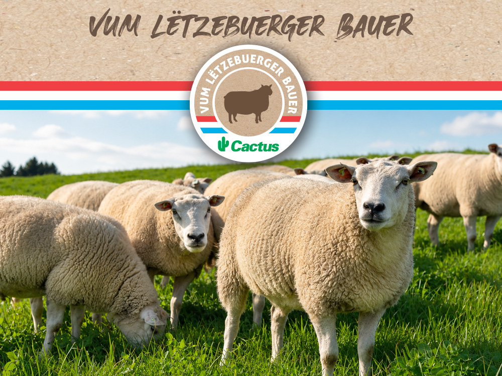 Cactus Schofsfleesch Vum Lëtzebuerger Bauer Cactus Schofsfleesch Vum Lëtzebuerger Bauer : une viande d'agneau fine et de caractère