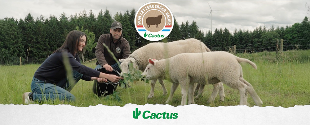 Cactus Schofsfleesch Vum Lëtzebuerger Bauer