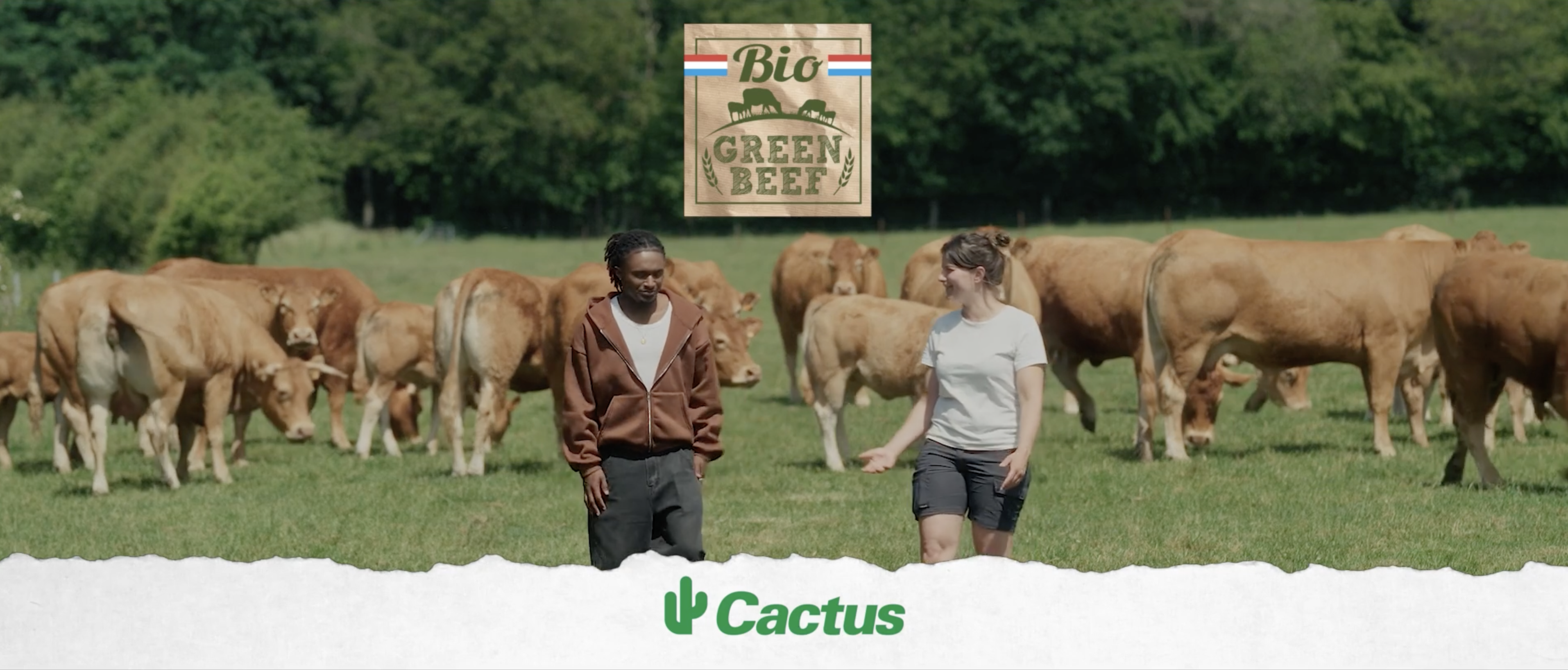 Bio Green Beef