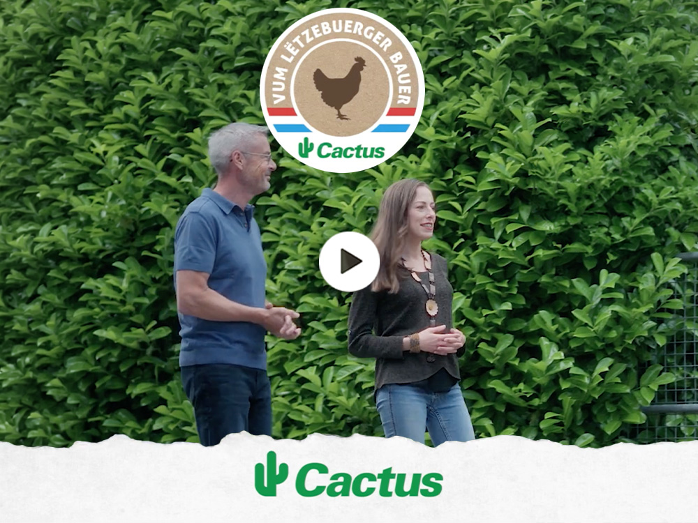 Un poulet luxembourgeois pour vos repas du quotidien - Cactus Poulet VLB Un poulet luxembourgeois pour vos repas du quotidien - Cactus Poulet VLB