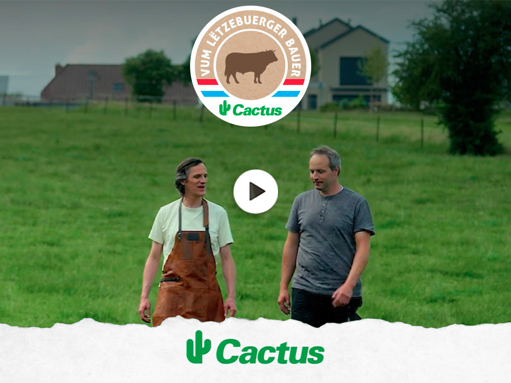 Du bœuf luxembourgeois, une origine qui inspire confiance - Cactus Rëndfleesch VLB Du bœuf luxembourgeois, une origine qui inspire confiance - Cactus Rëndfleesch VLB