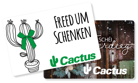 Cartes cadeaux 3