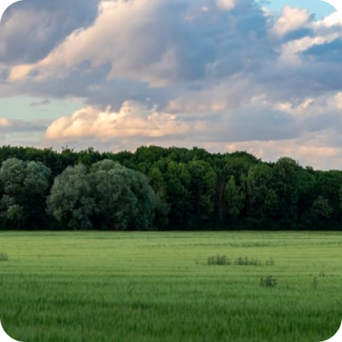 Texte alternatif
