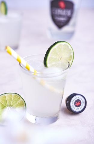 Gin Fizz
