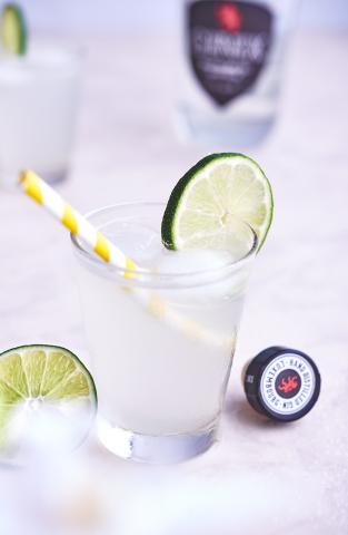 Gin Fizz 