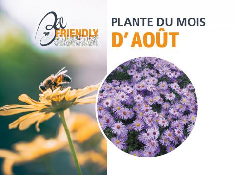 beefriendly_aout.jpg