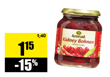 bio-kidney