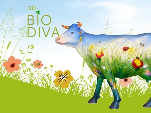 bio_divas1.jpg