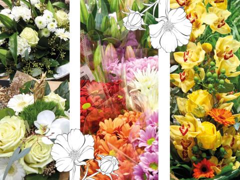 pouvoir_des_fleurs.jpg