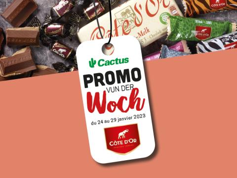 promo_cote_dor.jpg