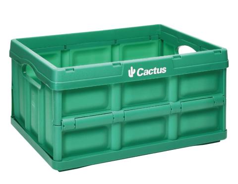 50-box_pliable_cactus_vert.jpg