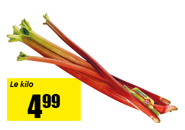 rhubarbe.png