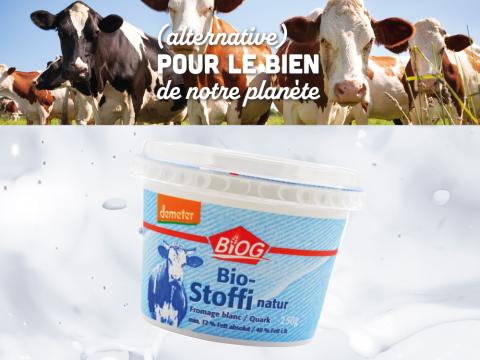 alternative_bio_fromage_blanc.jpg
