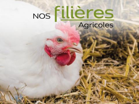 filieres.jpg