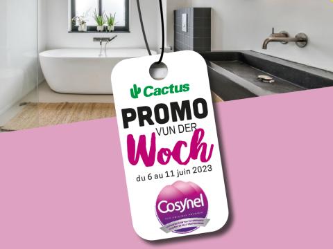 promo_cosynel.jpg