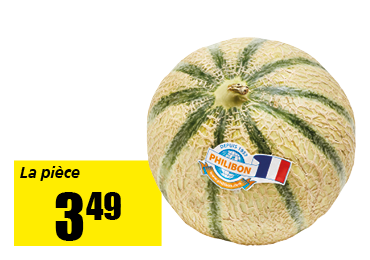 melon_charentais_.png
