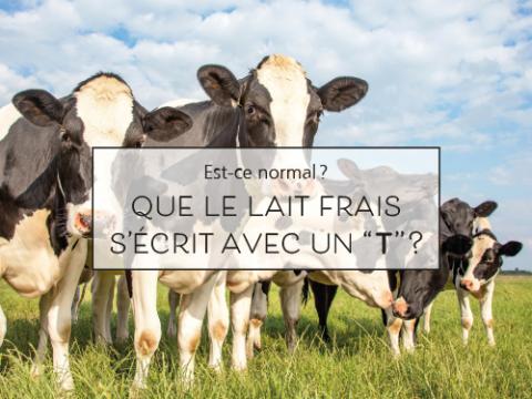 est_ce_normal_lait.jpg