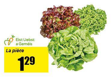 laitue_batavia_ou_feuille_de_chene_rouge.png