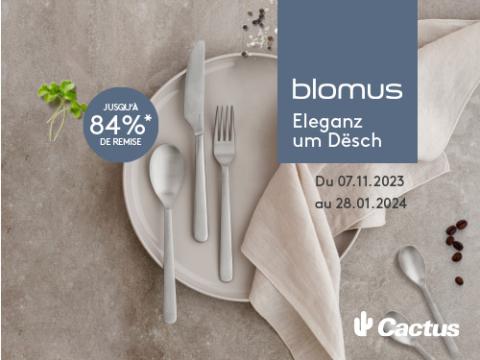 blomus_web2.jpg