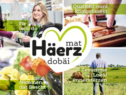 mat_haerz_dobai_2.jpg