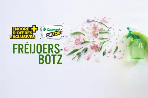 cactus_on_top_sem_12_freijoers_botz.jpg