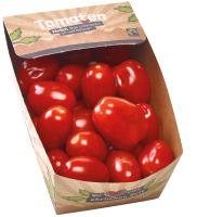 tomates_fairtrade.jpg