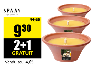 bougies_citronnelle_terra.png