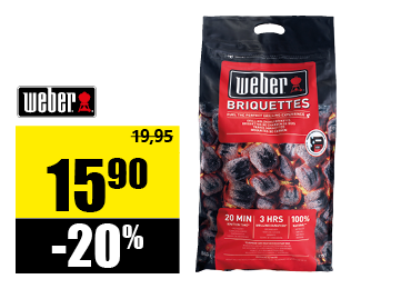 briquettes.png