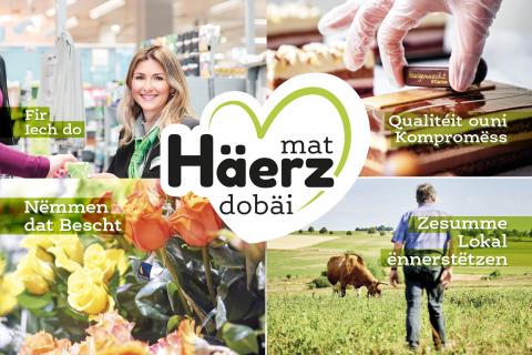 homepage_mat_haerz_dobai_new.jpg