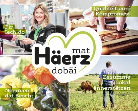 mat_haerz_dobai_new.jpg