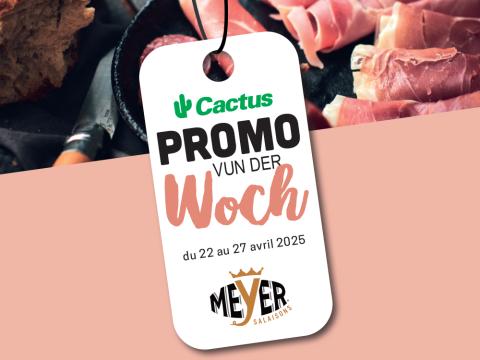 promo_meyer.jpg