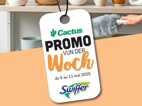 promo_swiffer.jpg
