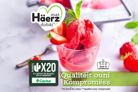 actu_glaces2.jpg