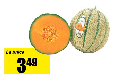 melon_canteloup.png