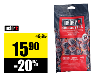 briquettes.png