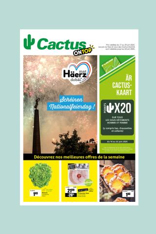 cover_cactus_digital_ontop_16_06_2025_test.jpg