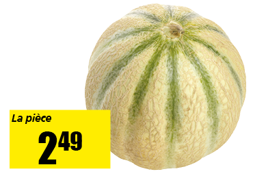 melon_charentais.png
