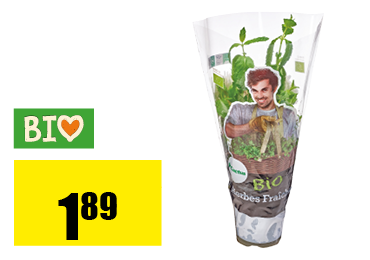 bio_menthe_fraiche.png