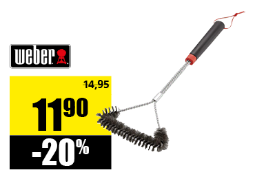 grande_brosse.png