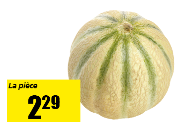 melon_charentais.png