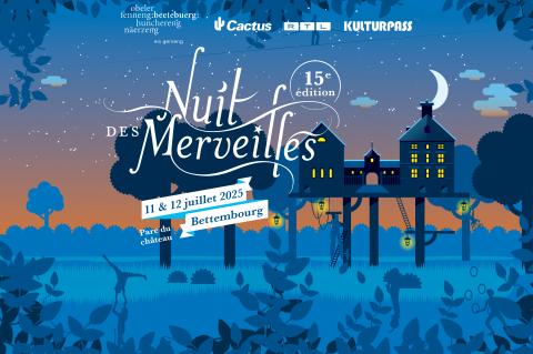 nuit_des_merveilles_2025.jpg