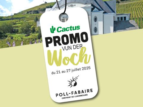 promo_poll_fabaire.jpg
