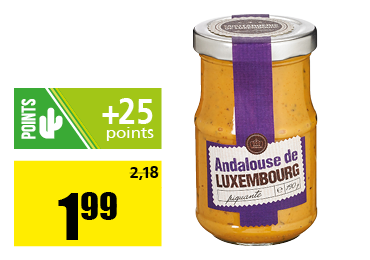 sauce_andalouse.png